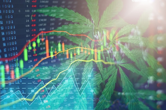 Cannabis Aktien Deutschland